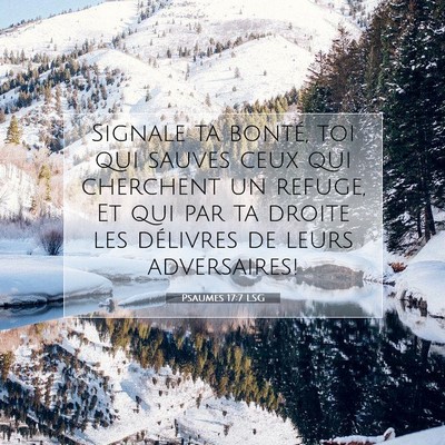 Picture 07 - Psaumes 17:7 LSG - Signale ta bonté, toi qui sauves ceux qui - Bible Verse Picture