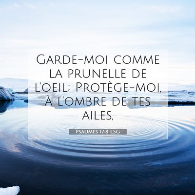 Picture 07 - Psaumes 17:8 LSG - Garde-moi comme la prunelle de l'oeil; - Bible Verse Picture