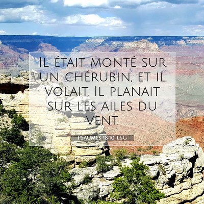 Picture 07 - Psaumes 18:10 LSG - Il était monté sur un chérubin, et il volait, - Bible Verse Picture