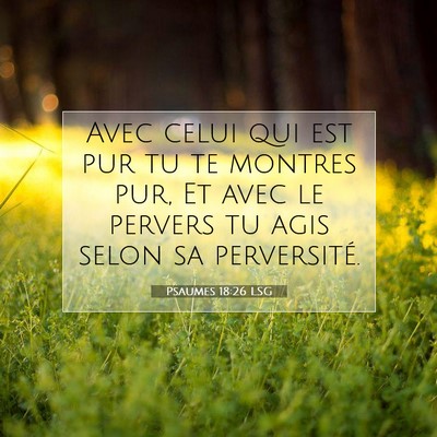 Picture 07 - Psaumes 18:26 LSG - Avec celui qui est pur tu te montres pur, Et avec - Bible Verse Picture