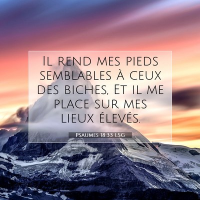 Picture 07 - Psaumes 18:33 LSG - Il rend mes pieds semblables à ceux des biches, - Bible Verse Picture