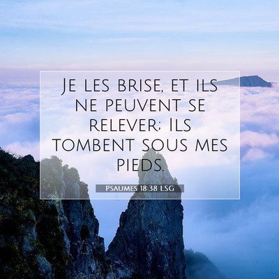 Picture 07 - Psaumes 18:38 LSG - Je les brise, et ils ne peuvent se relever; Ils - Bible Verse Picture