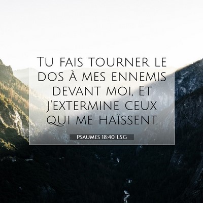 Picture 07 - Psaumes 18:40 LSG - Tu fais tourner le dos à mes ennemis devant moi, - Bible Verse Picture