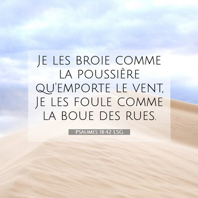 Picture 07 - Psaumes 18:42 LSG - Je les broie comme la poussière qu'emporte le - Bible Verse Picture