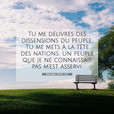 Picture 07 - Psaumes 18:43 LSG - Tu me délivres des dissensions du peuple; Tu me - Bible Verse Picture