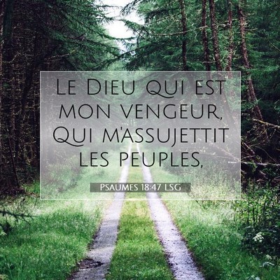 Picture 07 - Psaumes 18:47 LSG - Le Dieu qui est mon vengeur, Qui m'assujettit les - Bible Verse Picture