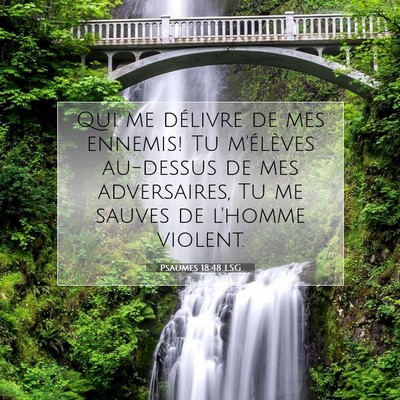 Picture 07 - Psaumes 18:48 LSG - Qui me délivre de mes ennemis! Tu m'élèves - Bible Verse Picture