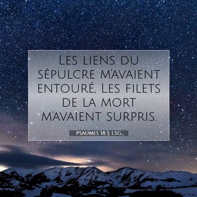 Picture 07 - Psaumes 18:5 LSG - Les liens du sépulcre m'avaient entouré, Les - Bible Verse Picture