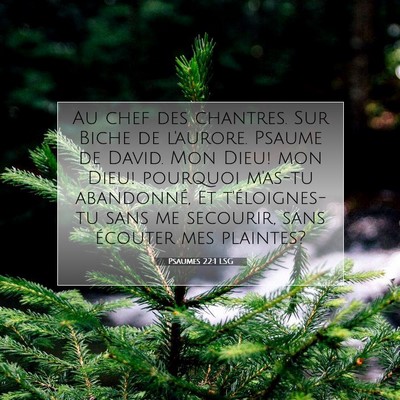 Picture 07 - Psaumes 22:1 LSG - Au chef des chantres. Sur Biche de l'aurore. - Bible Verse Picture