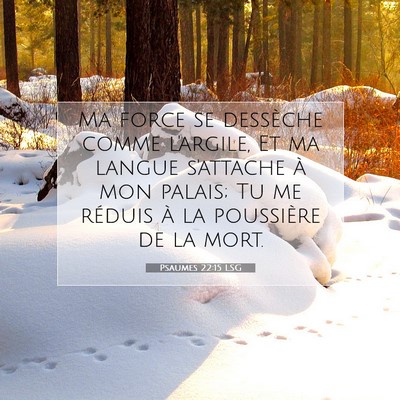 Picture 07 - Psaumes 22:15 LSG - Ma force se dessèche comme l'argile, Et ma - Bible Verse Picture