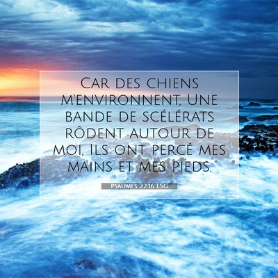 Picture 07 - Psaumes 22:16 LSG - Car des chiens m'environnent, Une bande de - Bible Verse Picture