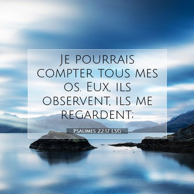 Picture 07 - Psaumes 22:17 LSG - Je pourrais compter tous mes os. Eux, ils - Bible Verse Picture