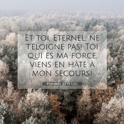 Picture 07 - Psaumes 22:19 LSG - Et toi, Eternel, ne t'éloigne pas! Toi qui es ma - Bible Verse Picture