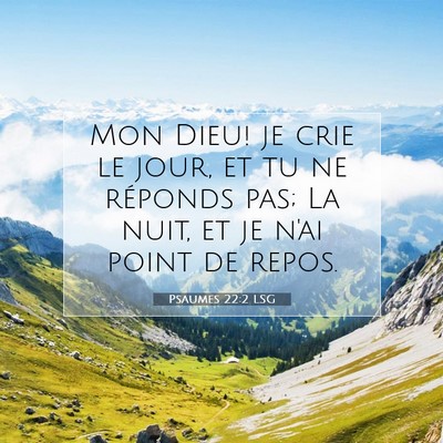Picture 07 - Psaumes 22:2 LSG - Mon Dieu! je crie le jour, et tu ne réponds pas; - Bible Verse Picture