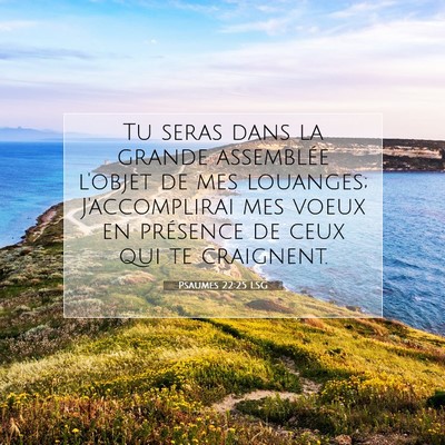 Picture 07 - Psaumes 22:25 LSG - Tu seras dans la grande assemblée l'objet de mes - Bible Verse Picture