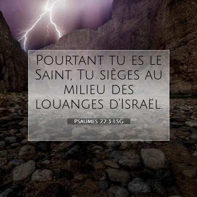 Picture 07 - Psaumes 22:3 LSG - Pourtant tu es le Saint, Tu sièges au milieu des - Bible Verse Picture