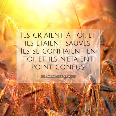 Picture 07 - Psaumes 22:5 LSG - Ils criaient à toi, et ils étaient sauvés; Ils - Bible Verse Picture