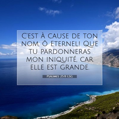Picture 07 - Psaumes 25:11 LSG - C'est à cause de ton nom, ô Eternel! Que tu - Bible Verse Picture