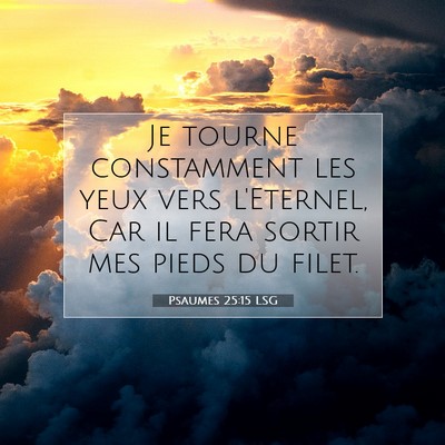 Picture 07 - Psaumes 25:15 LSG - Je tourne constamment les yeux vers l'Eternel, - Bible Verse Picture