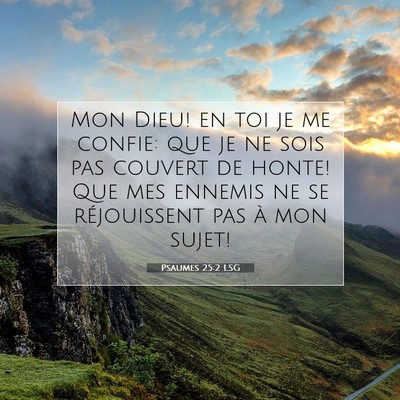Picture 07 - Psaumes 25:2 LSG - Mon Dieu! en toi je me confie: que je ne sois pas - Bible Verse Picture