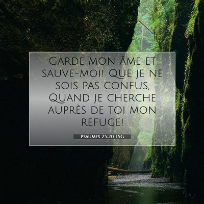 Picture 07 - Psaumes 25:20 LSG - Garde mon âme et sauve-moi! Que je ne sois pas - Bible Verse Picture