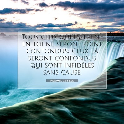 Picture 07 - Psaumes 25:3 LSG - Tous ceux qui espèrent en toi ne seront point - Bible Verse Picture