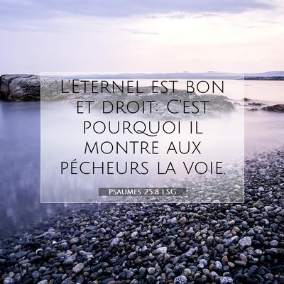 Picture 07 - Psaumes 25:8 LSG - L'Eternel est bon et droit: C'est pourquoi il - Bible Verse Picture