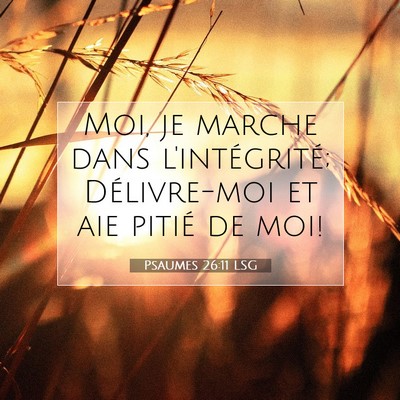 Picture 07 - Psaumes 26:11 LSG - Moi, je marche dans l'intégrité; Délivre-moi - Bible Verse Picture