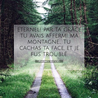 Picture 07 - Psaumes 30:7 LSG - Eternel! par ta grâce tu avais affermi ma - Bible Verse Picture