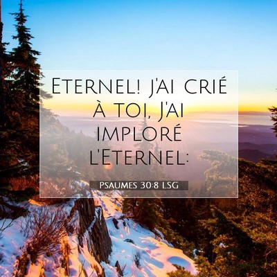 Picture 07 - Psaumes 30:8 LSG - Eternel! j'ai crié à toi, J'ai imploré - Bible Verse Picture