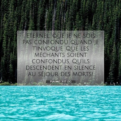 Picture 07 - Psaumes 31:17 LSG - Eternel, que je ne sois pas confondu quand je - Bible Verse Picture