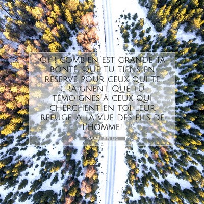 Picture 07 - Psaumes 31:19 LSG - Oh! combien est grande ta bonté, Que tu tiens en - Bible Verse Picture