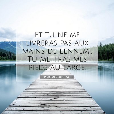 Picture 07 - Psaumes 31:8 LSG - Et tu ne me livreras pas aux mains de l'ennemi, - Bible Verse Picture
