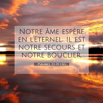Picture 07 - Psaumes 33:20 LSG - Notre âme espère en l'Eternel; Il est notre - Bible Verse Picture
