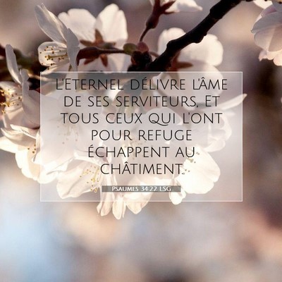 Picture 07 - Psaumes 34:22 LSG - L'Eternel délivre l'âme de ses serviteurs, Et - Bible Verse Picture