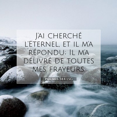 Picture 07 - Psaumes 34:4 LSG - J'ai cherché l'Eternel, et il m'a répondu; Il - Bible Verse Picture