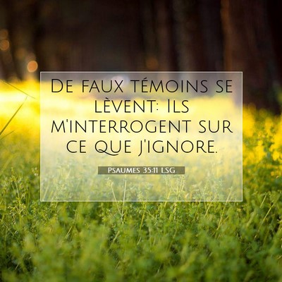 Picture 07 - Psaumes 35:11 LSG - De faux témoins se lèvent: Ils m'interrogent - Bible Verse Picture