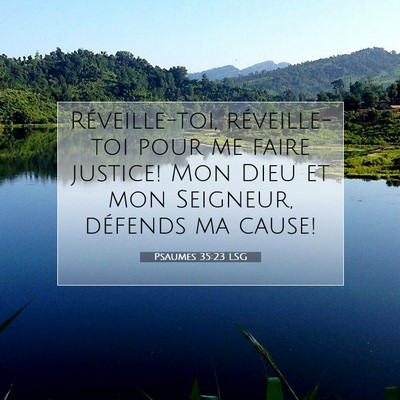 Picture 07 - Psaumes 35:23 LSG - Réveille-toi, réveille-toi pour me faire - Bible Verse Picture