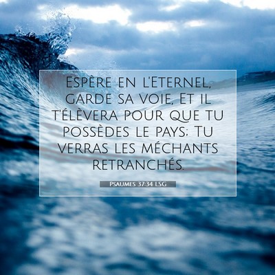 Picture 07 - Psaumes 37:34 LSG - Espère en l'Eternel, garde sa voie, Et il - Bible Verse Picture