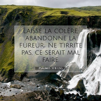 Picture 07 - Psaumes 37:8 LSG - Laisse la colère, abandonne la fureur; Ne - Bible Verse Picture