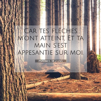 Picture 07 - Psaumes 38:2 LSG - Car tes flèches m'ont atteint, Et ta main s'est - Bible Verse Picture