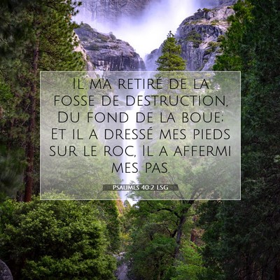 Picture 07 - Psaumes 40:2 LSG - Il m'a retiré de la fosse de destruction, Du - Bible Verse Picture