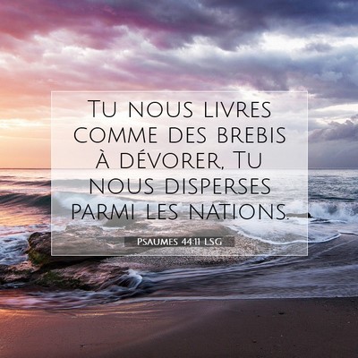 Picture 07 - Psaumes 44:11 LSG - Tu nous livres comme des brebis à dévorer, Tu - Bible Verse Picture