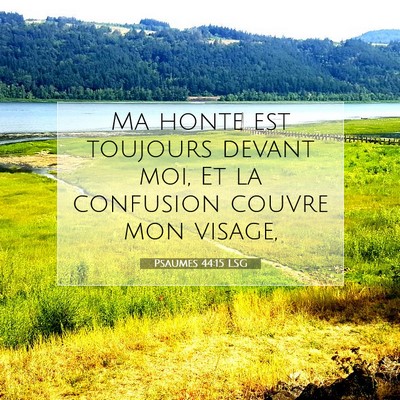 Picture 07 - Psaumes 44:15 LSG - Ma honte est toujours devant moi, Et la confusion - Bible Verse Picture