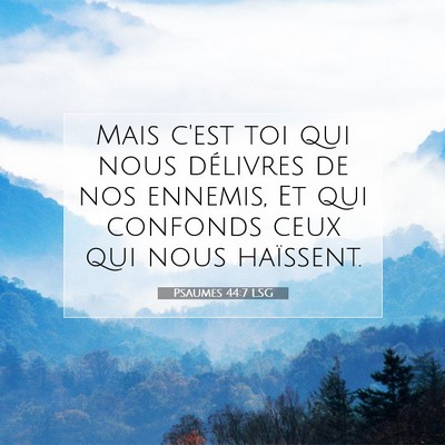 Picture 07 - Psaumes 44:7 LSG - Mais c'est toi qui nous délivres de nos ennemis, - Bible Verse Picture