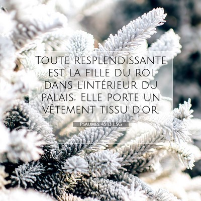 Picture 07 - Psaumes 45:13 LSG - Toute resplendissante est la fille du roi dans - Bible Verse Picture