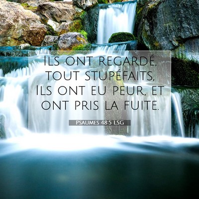Picture 07 - Psaumes 48:5 LSG - Ils ont regardé, tout stupéfaits, Ils ont eu - Bible Verse Picture