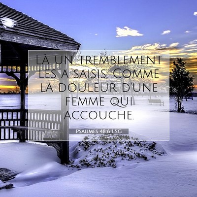 Picture 07 - Psaumes 48:6 LSG - Là un tremblement les a saisis, Comme la douleur - Bible Verse Picture
