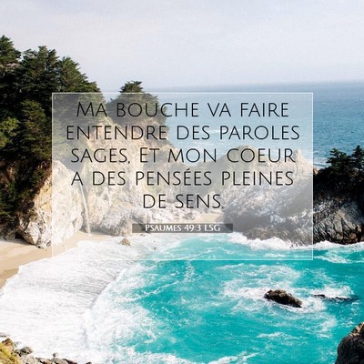 Picture 07 - Psaumes 49:3 LSG - Ma bouche va faire entendre des paroles sages, Et - Bible Verse Picture