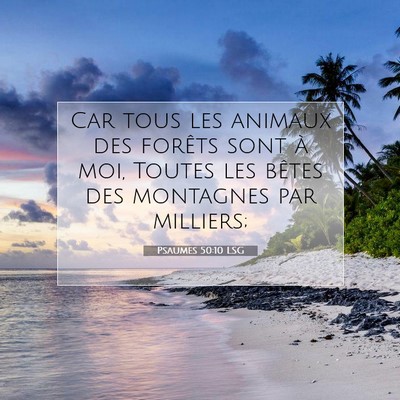 Picture 07 - Psaumes 50:10 LSG - Car tous les animaux des forêts sont à moi, - Bible Verse Picture